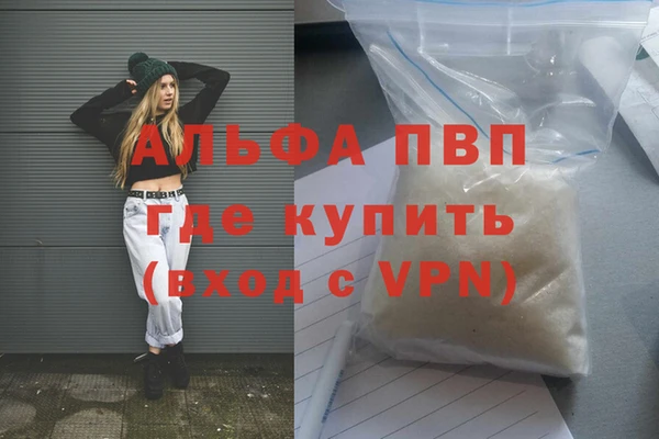 твердый Магас